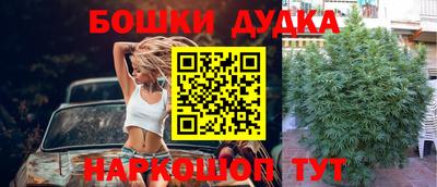 спиды Дубна