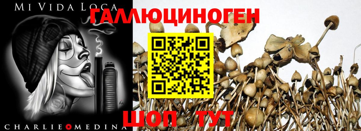 Псилоцибиновые грибы Magic Shrooms  Вход с VPN  Еманжелинск 